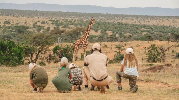 Family Safari