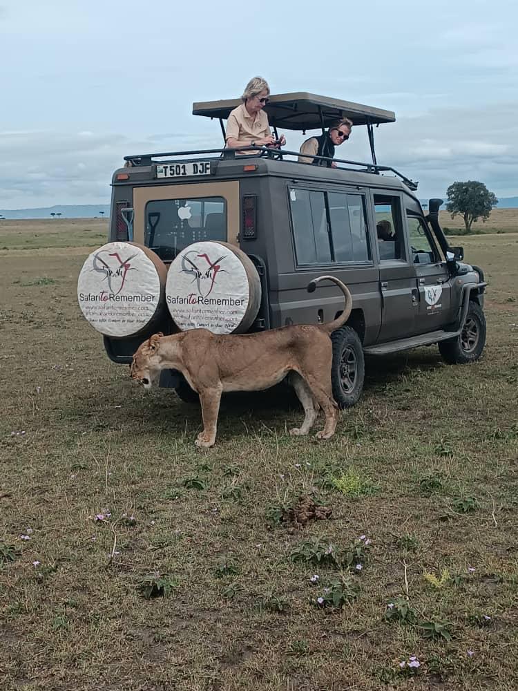 Adventure