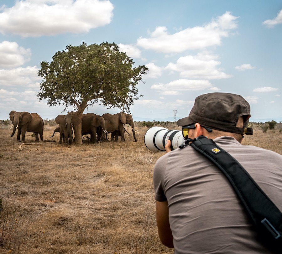 Photography Safari