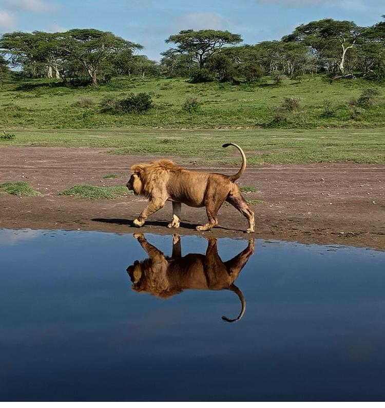 Serengeti
